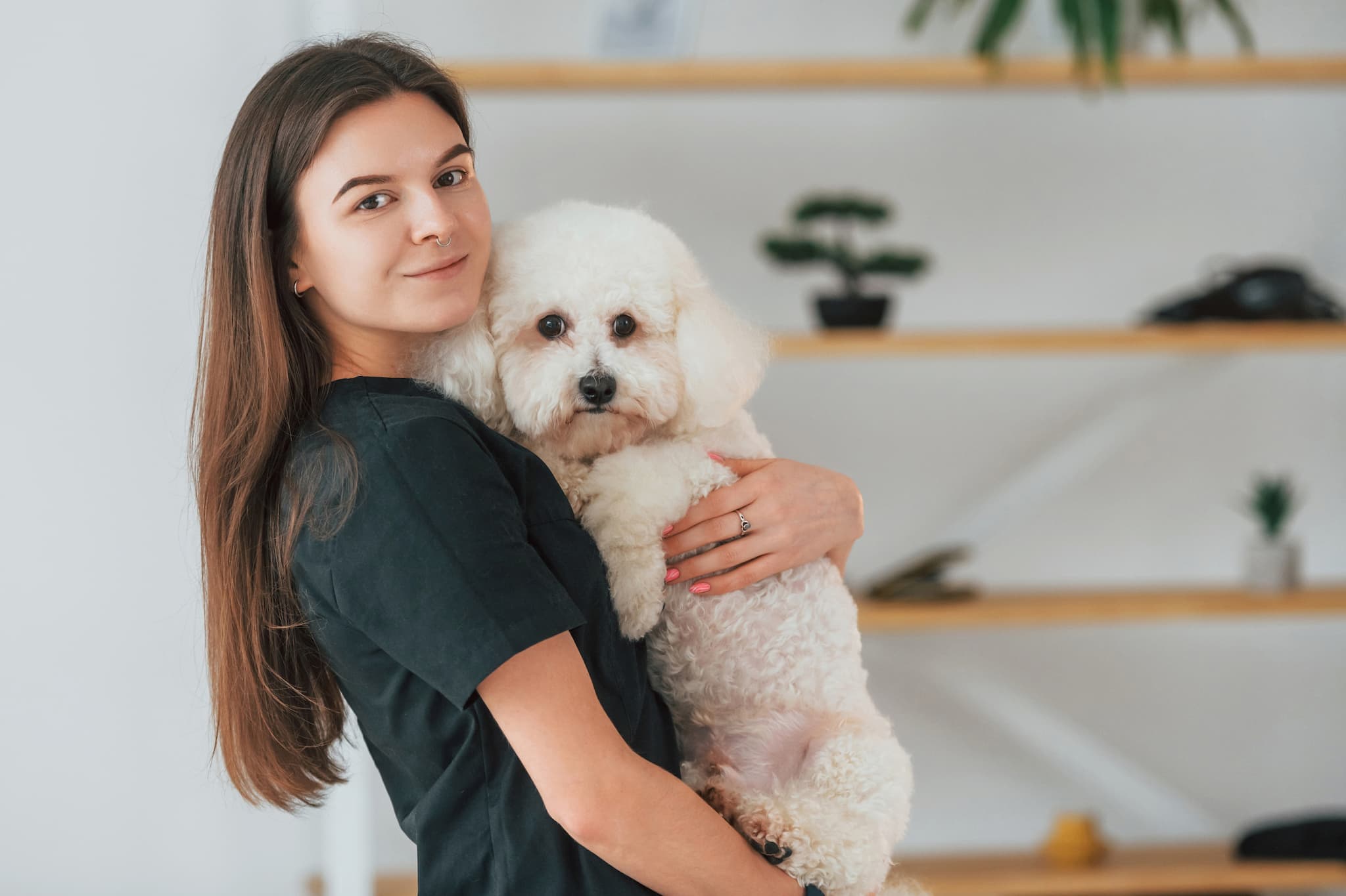 Ветеринар і тварина